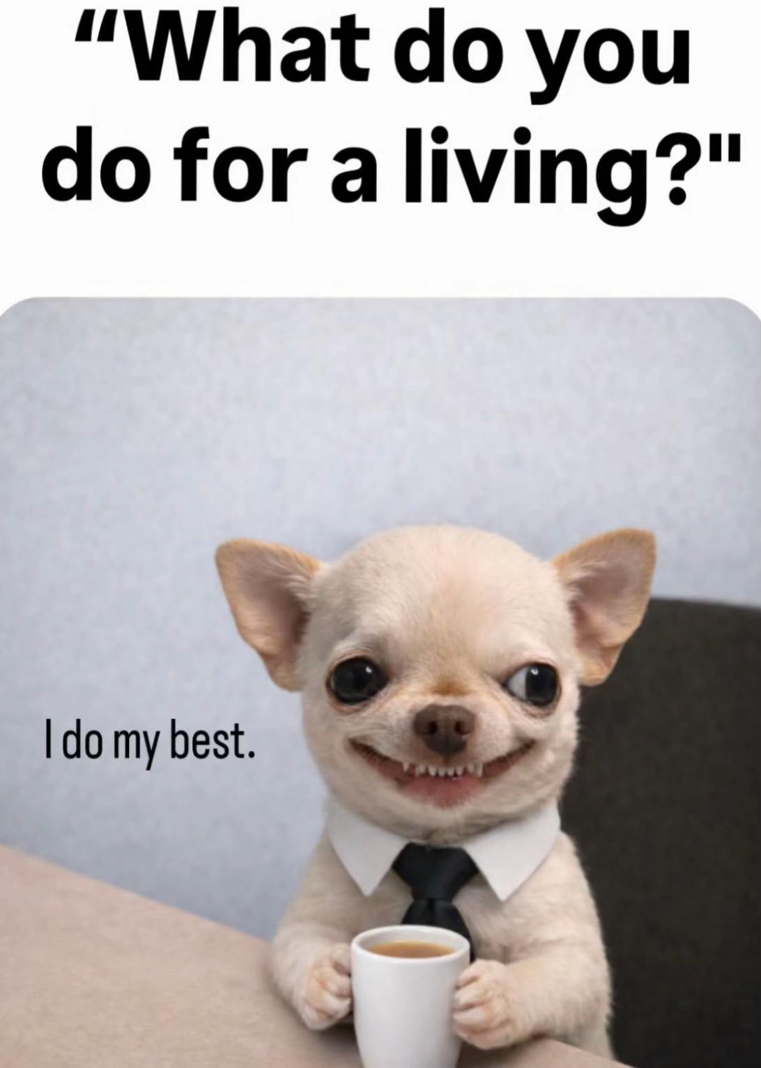 @worldofsmile88