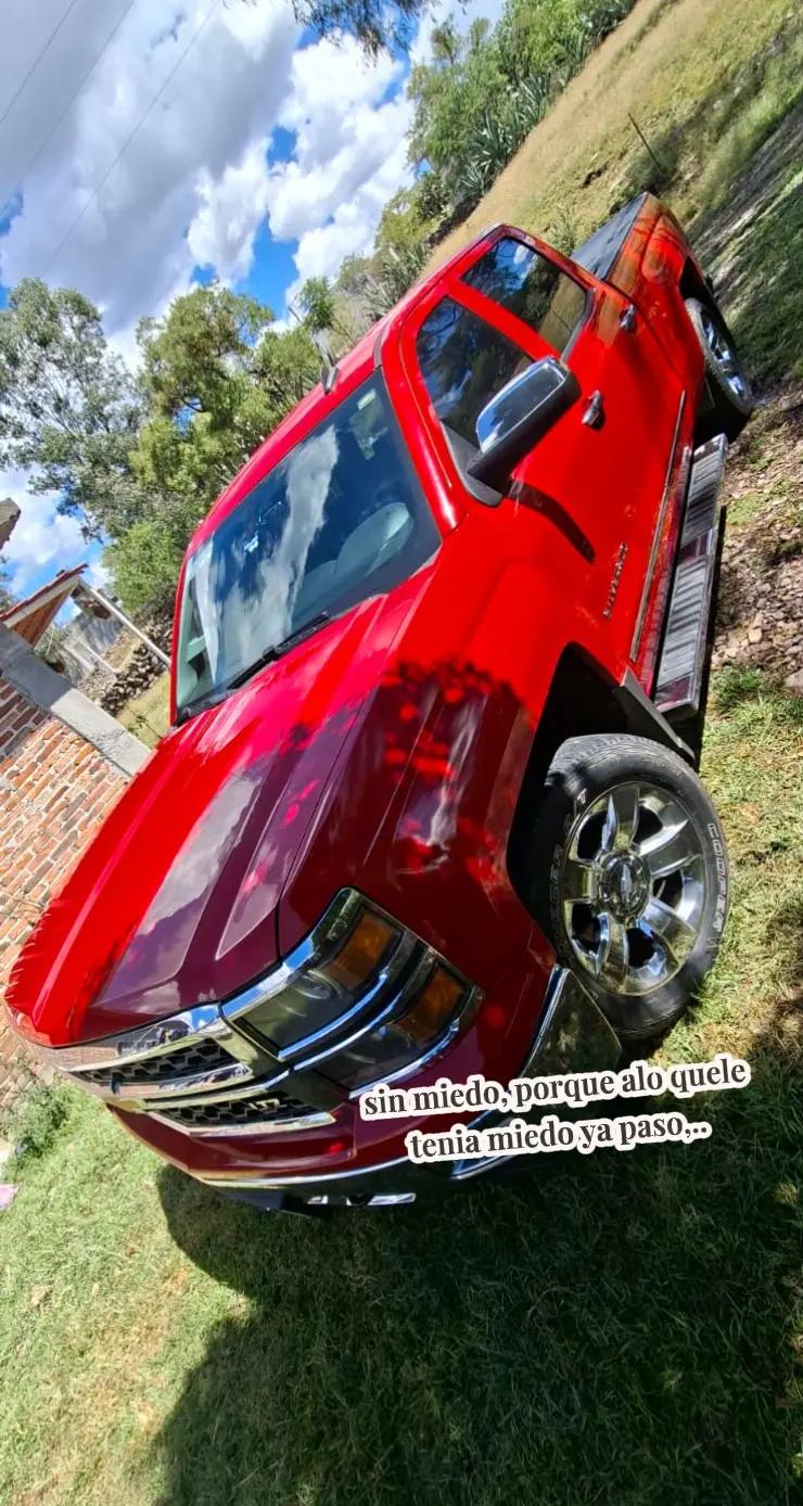@Gustavo Frias501