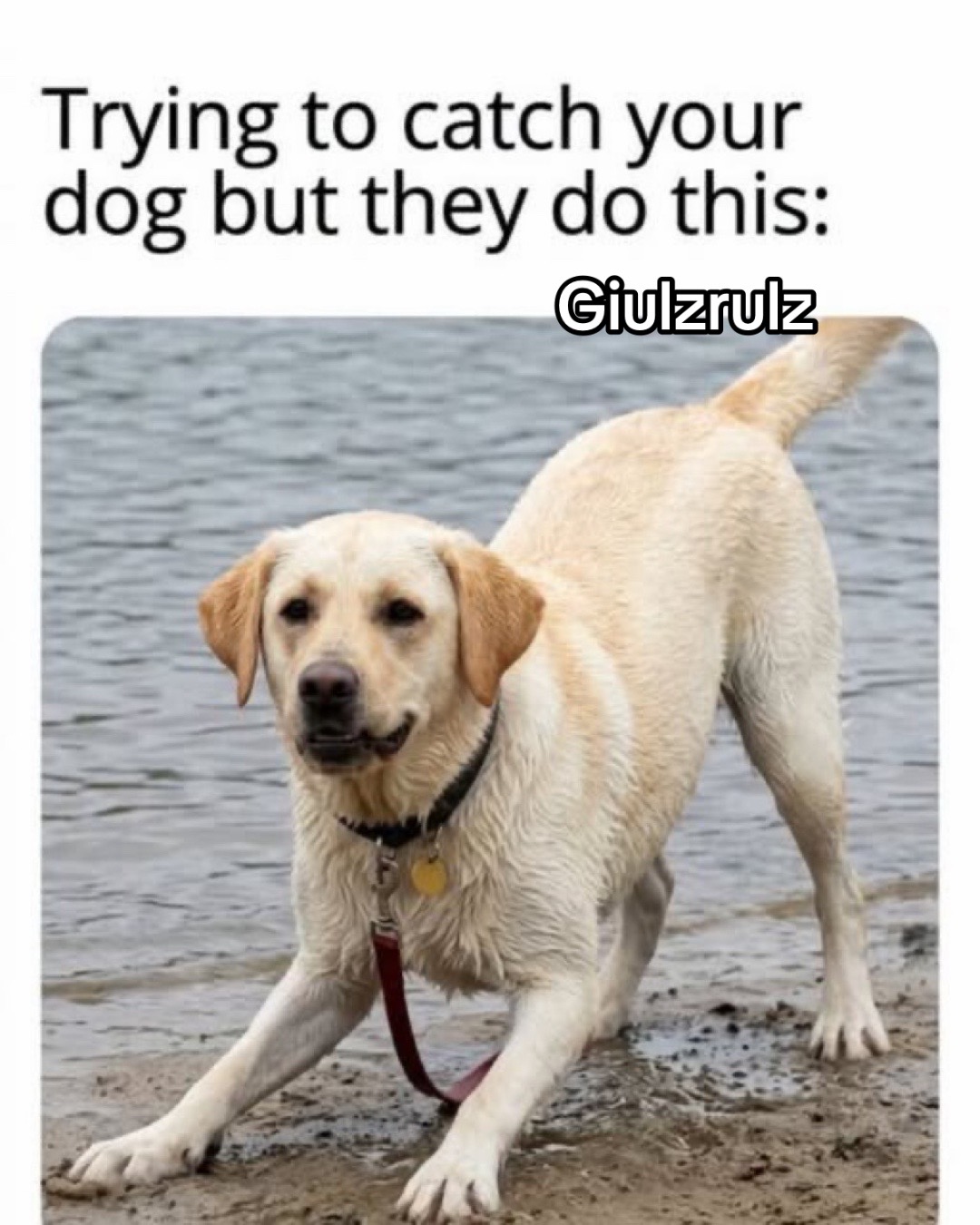 @GiulzRulz