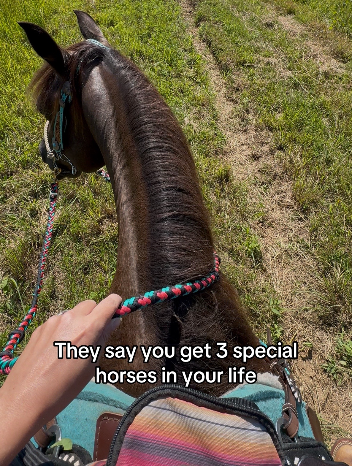 @tiredponygirl