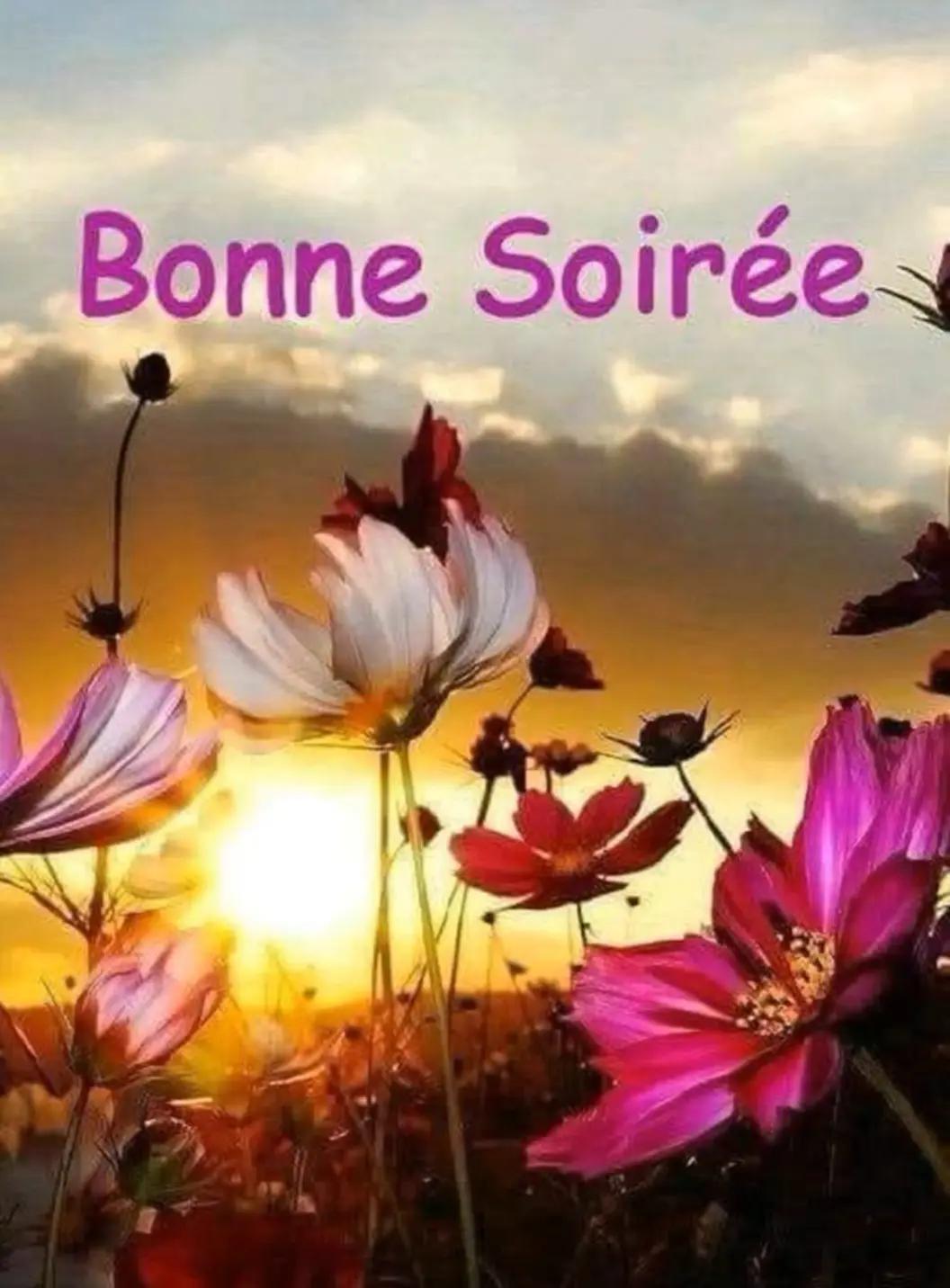 @L âme à l étoile infinie