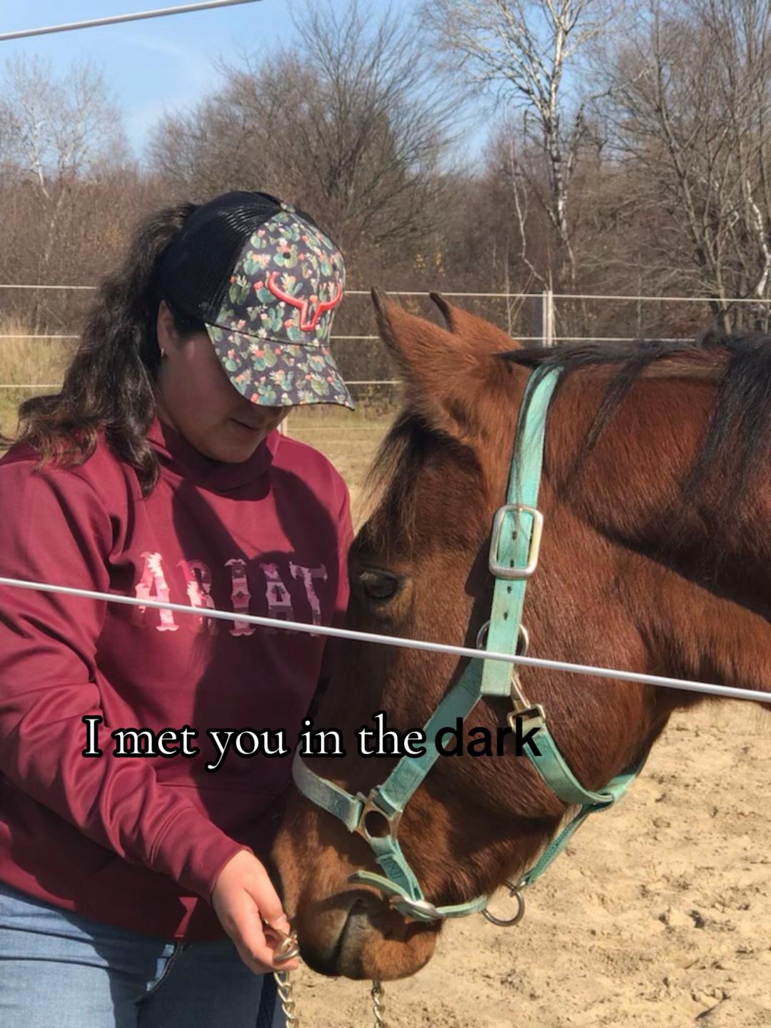 @🐴✨| M&M ranch |🐴✨