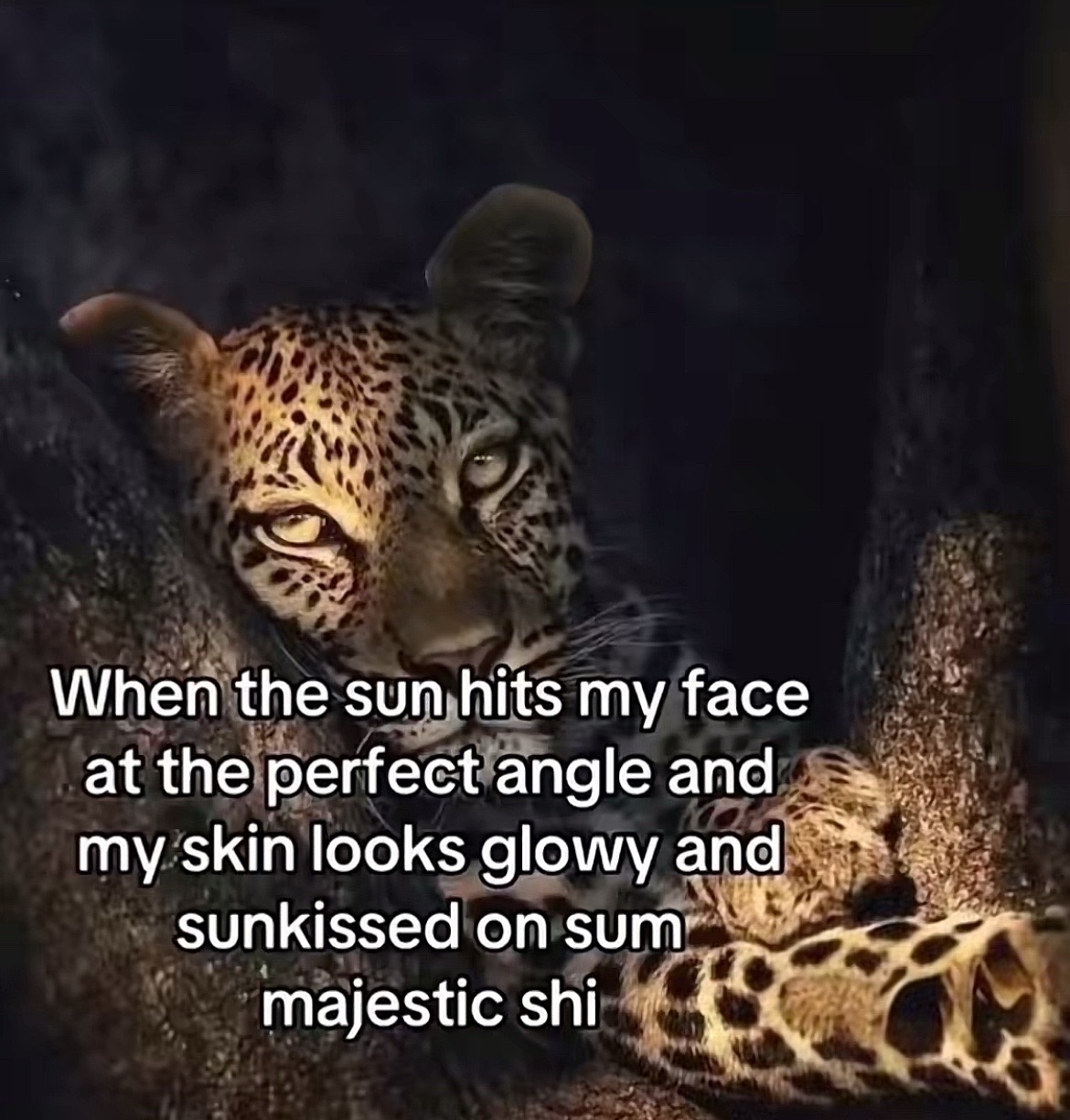 @aly