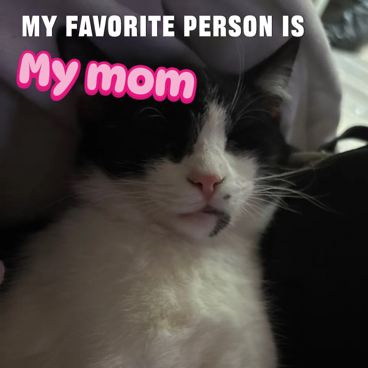@🍬