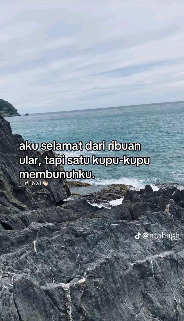 @CB METEOR