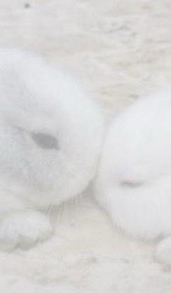 @☘️♪‧₊˚𓏲ּ𝄢🦄