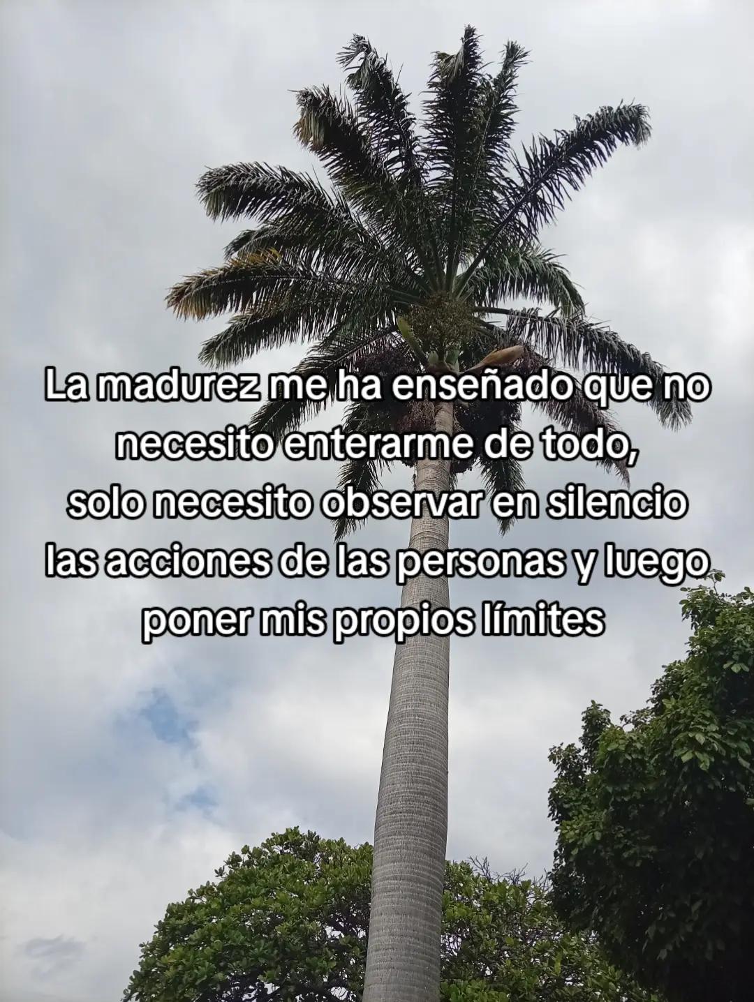 @Hija de Dios 🦋🌻♥️✨️