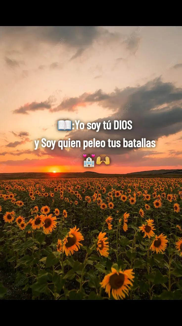 @EL SHADAI