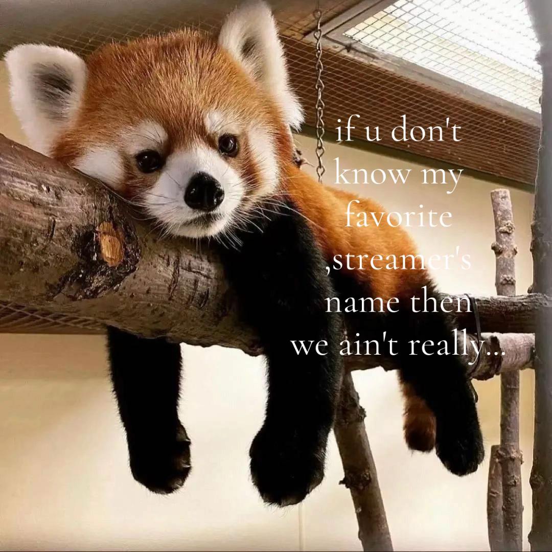 @[YFL] 𝓷𝓲𝓴𝓿𝔁𝓵𝓪 ❣︎ ✦ ͙ ˚