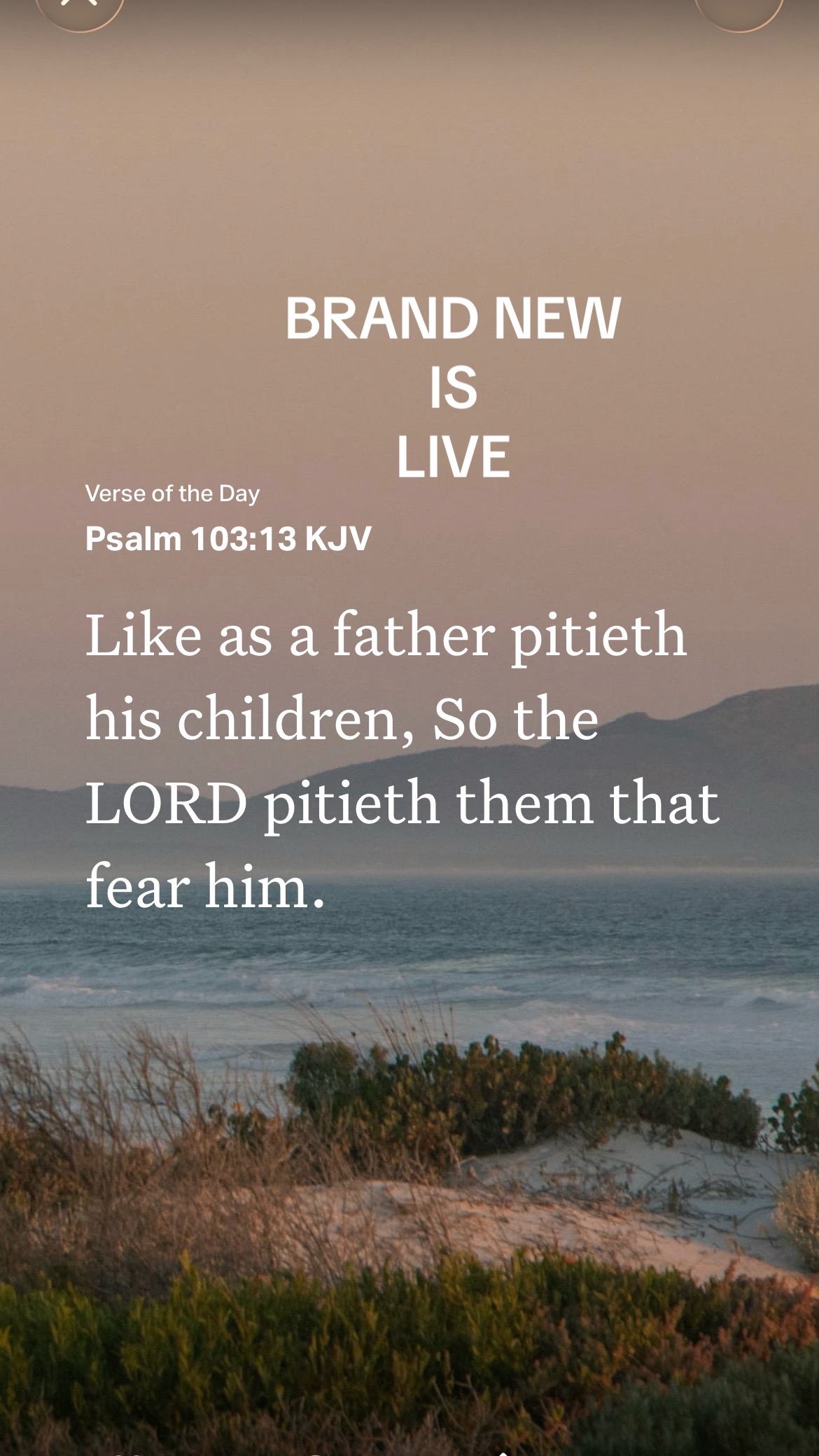 @brandnewme