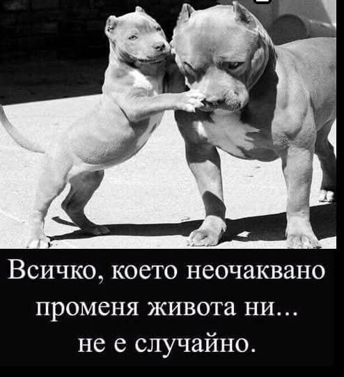@🐝🐾Nadia🐝🐾
