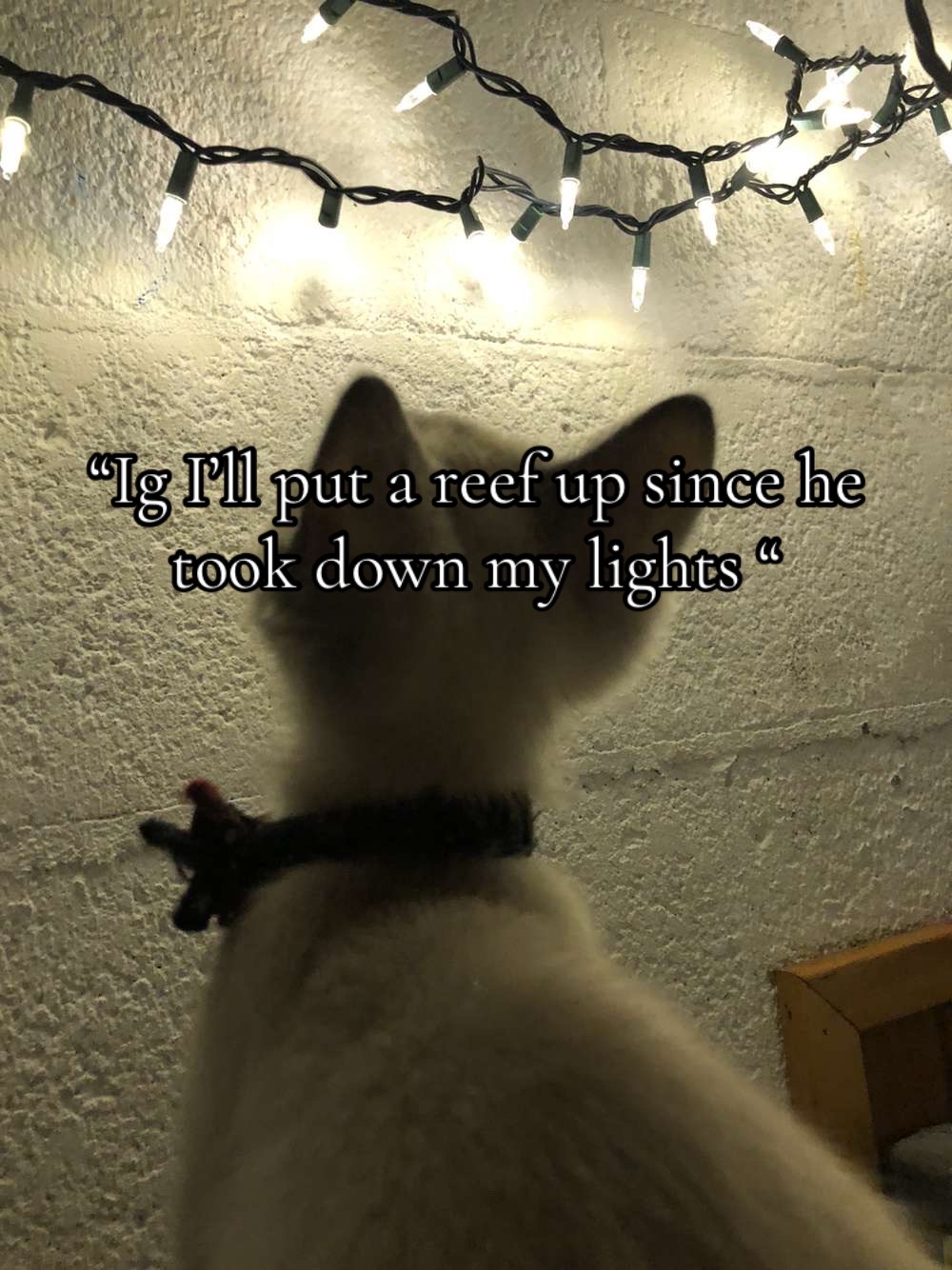 @Z