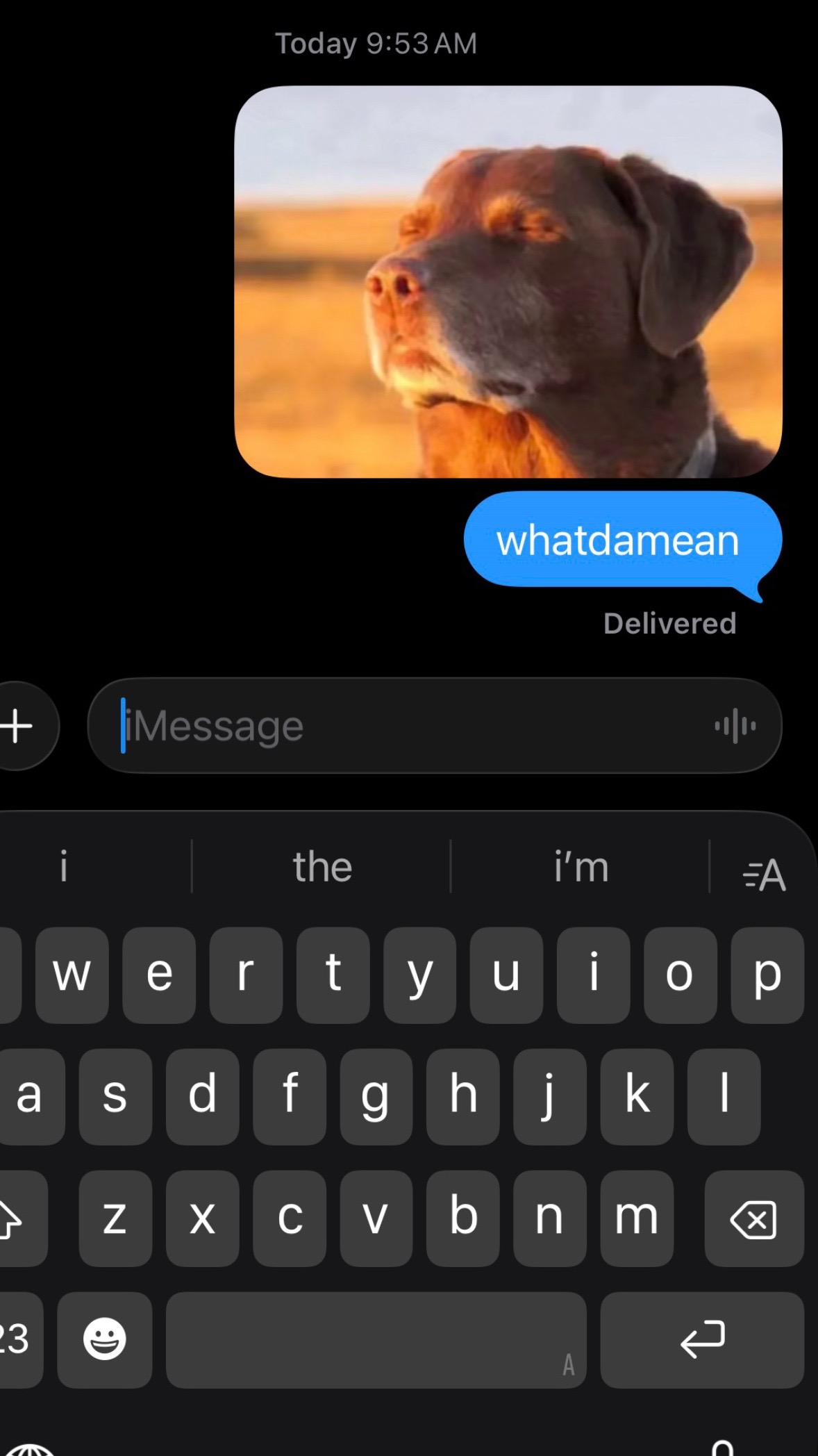 @user649274920