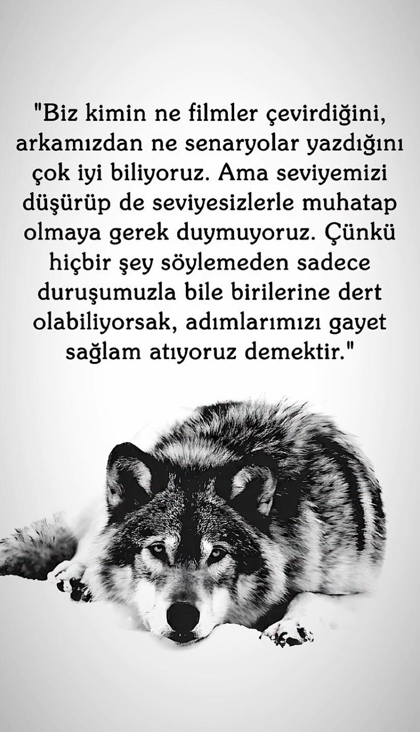 @<~~£FsO kalkan~~>