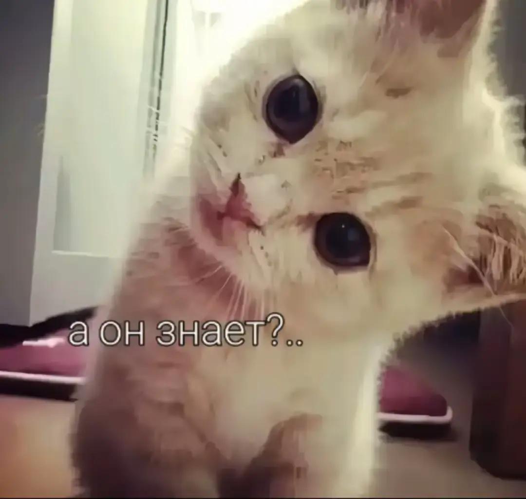 @🎀