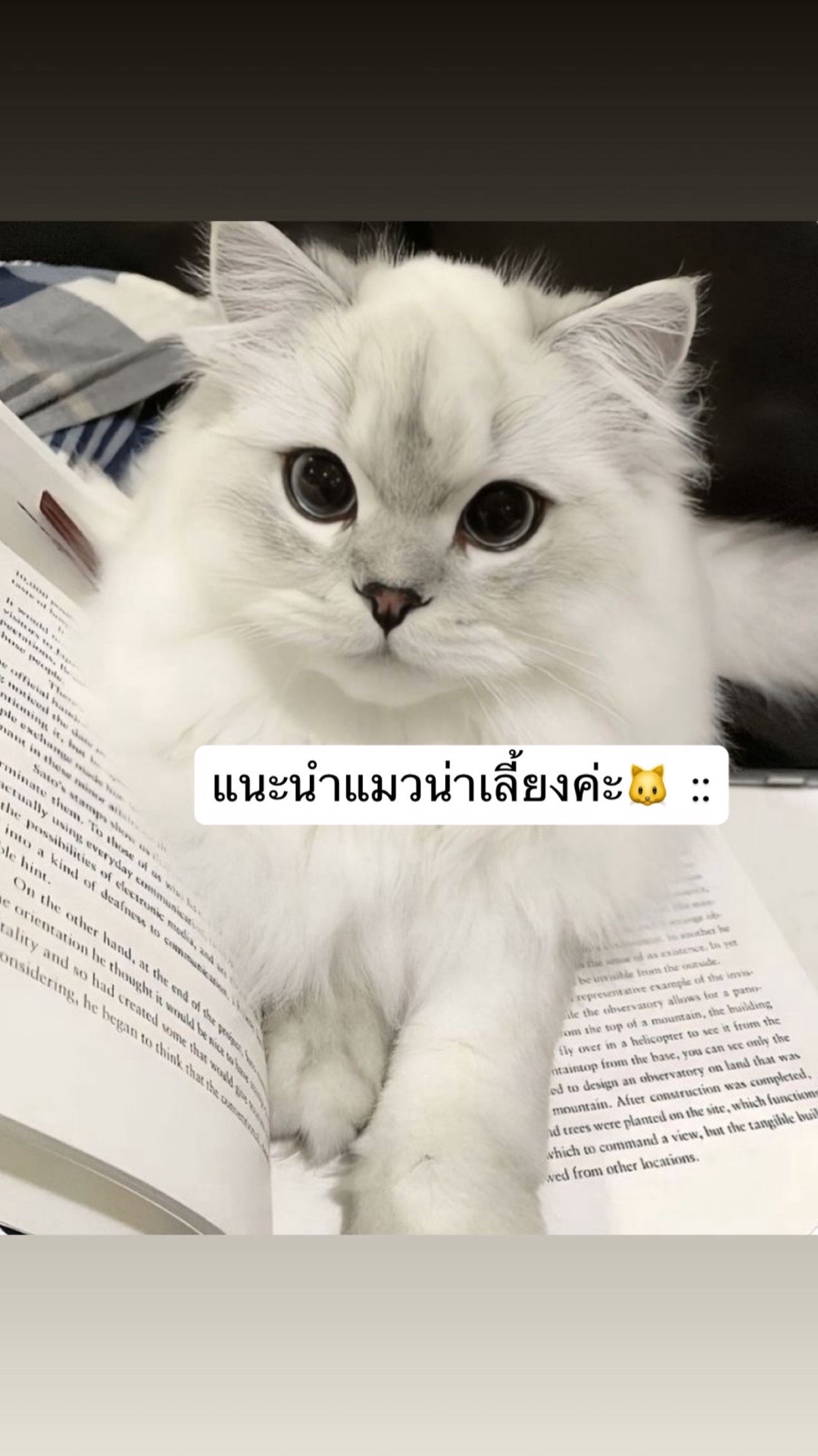 @สวัสดีวันเสาร์