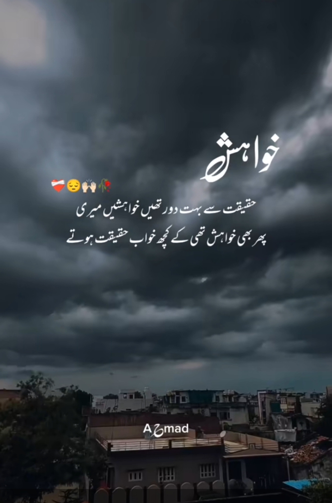 @Mehar zaddi🔥