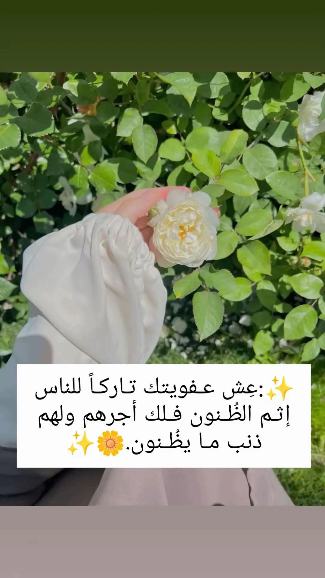 @رقہہة أنہہثہہى