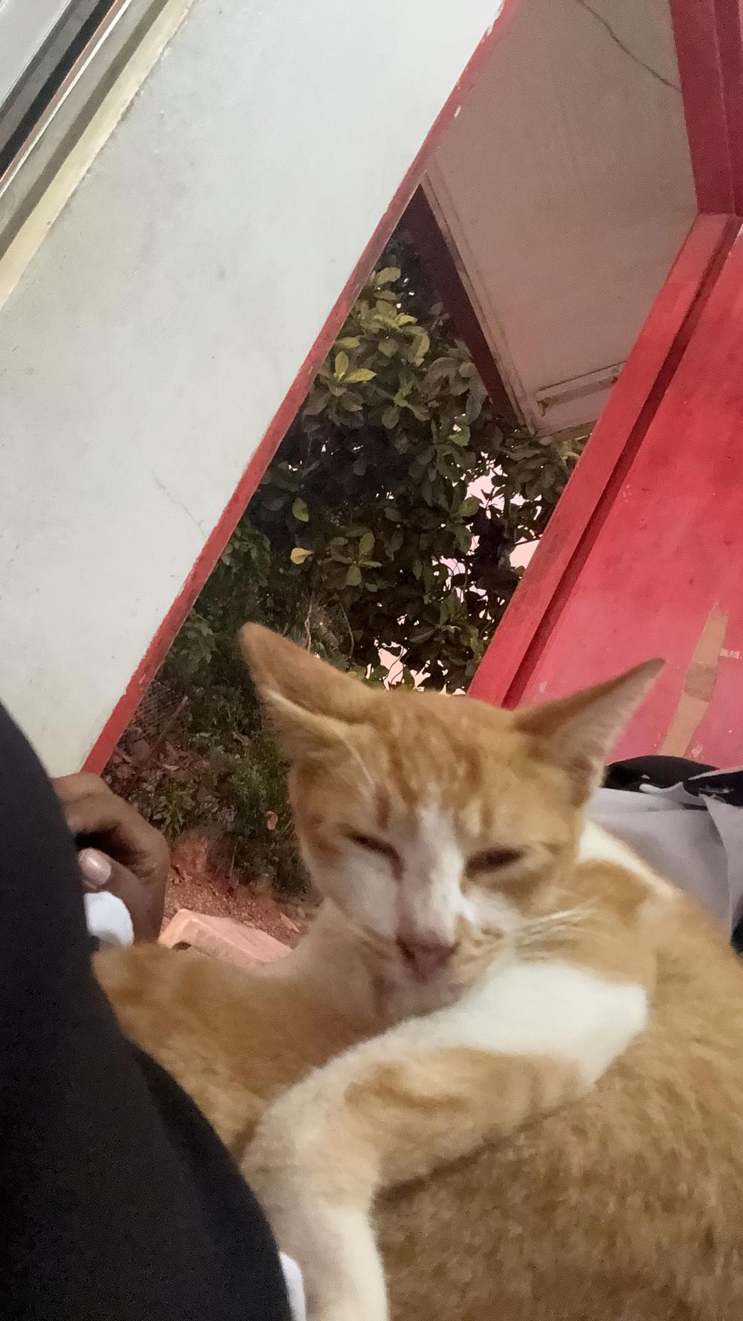@حنيفة الصوفية😊