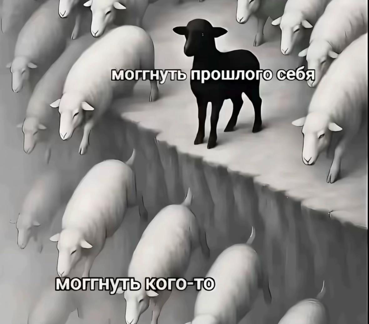 @sofinka_tyt