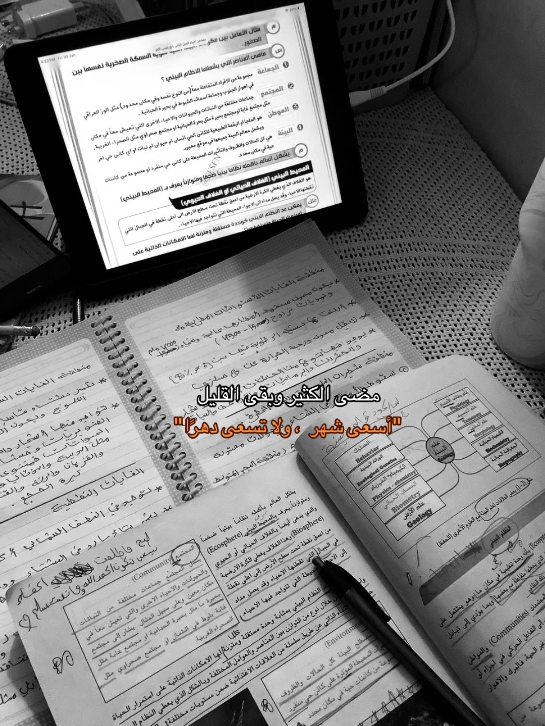 @هـالـة