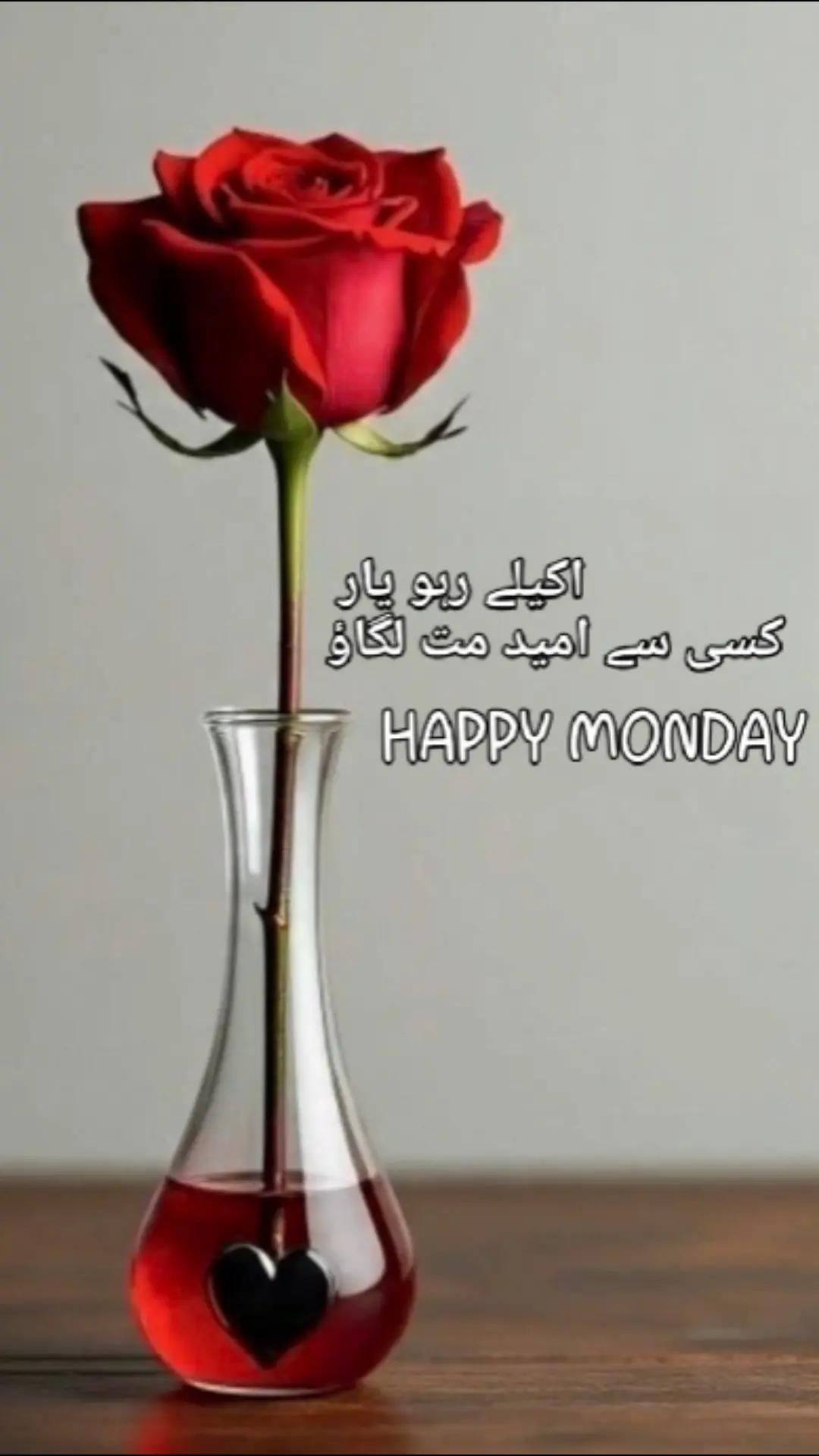 @Anjum Habibi ,❤️
