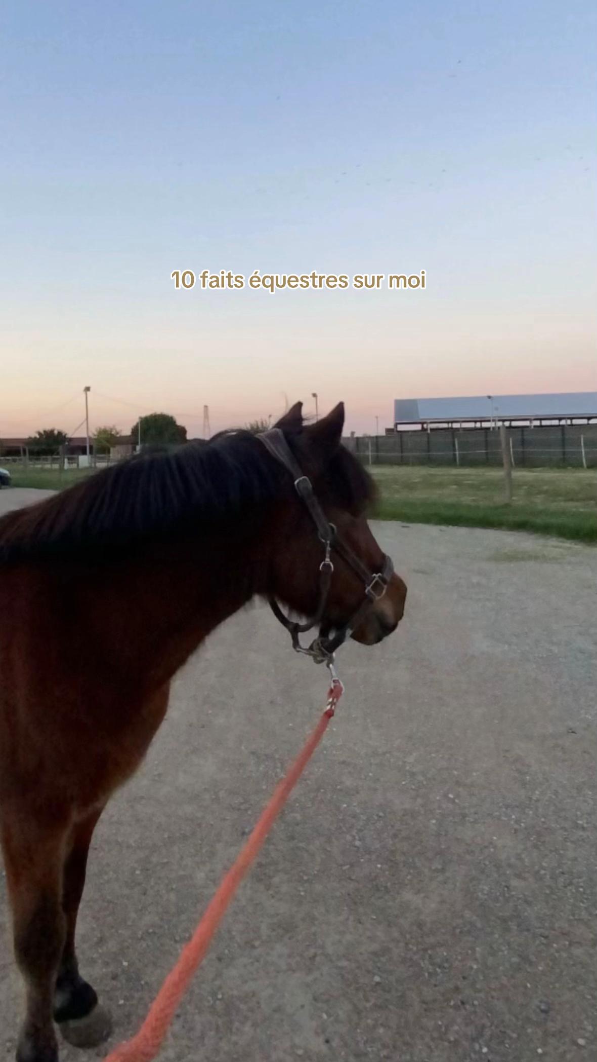 @cl&eacute;ou&rsquo; 🦕🪐
