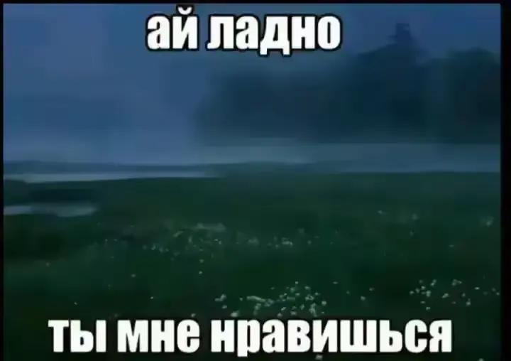 @Мелкий🇷🇺24RUS🇷🇺