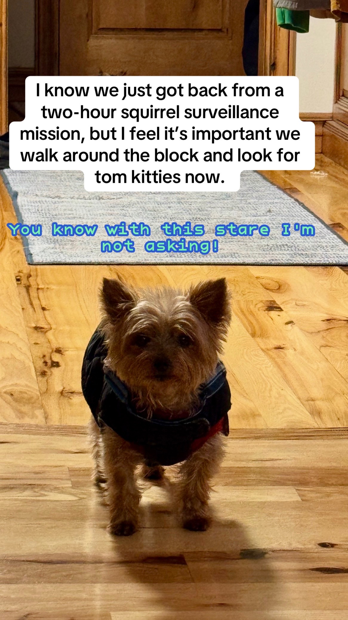 @rocky_n_friends25