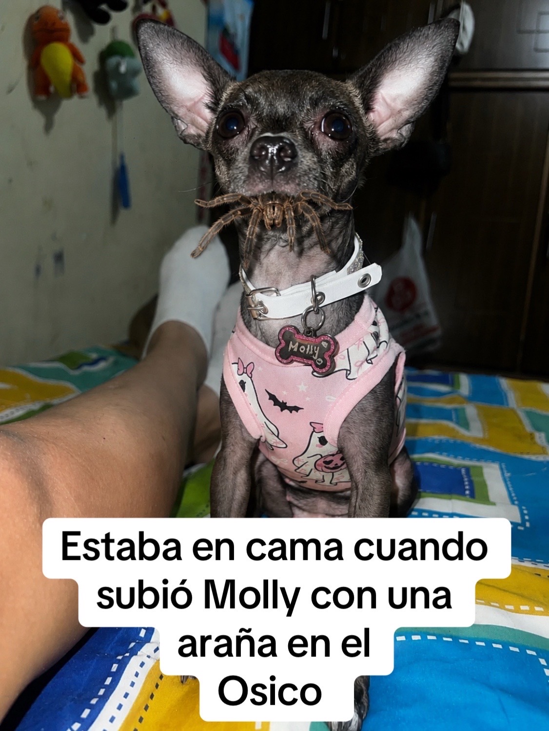 @✨Jhoany Bonilla✨