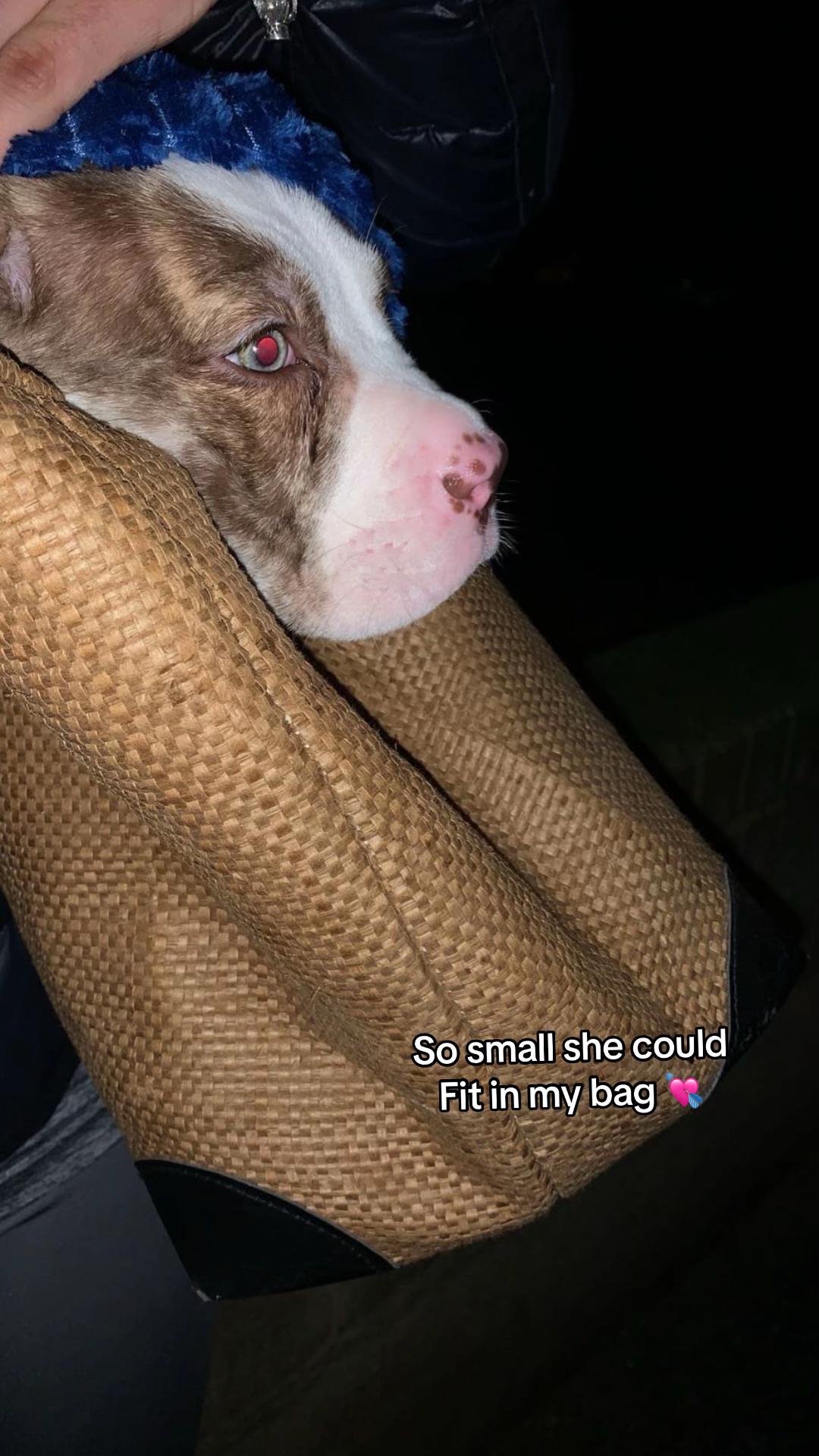 @Minimooo🐮