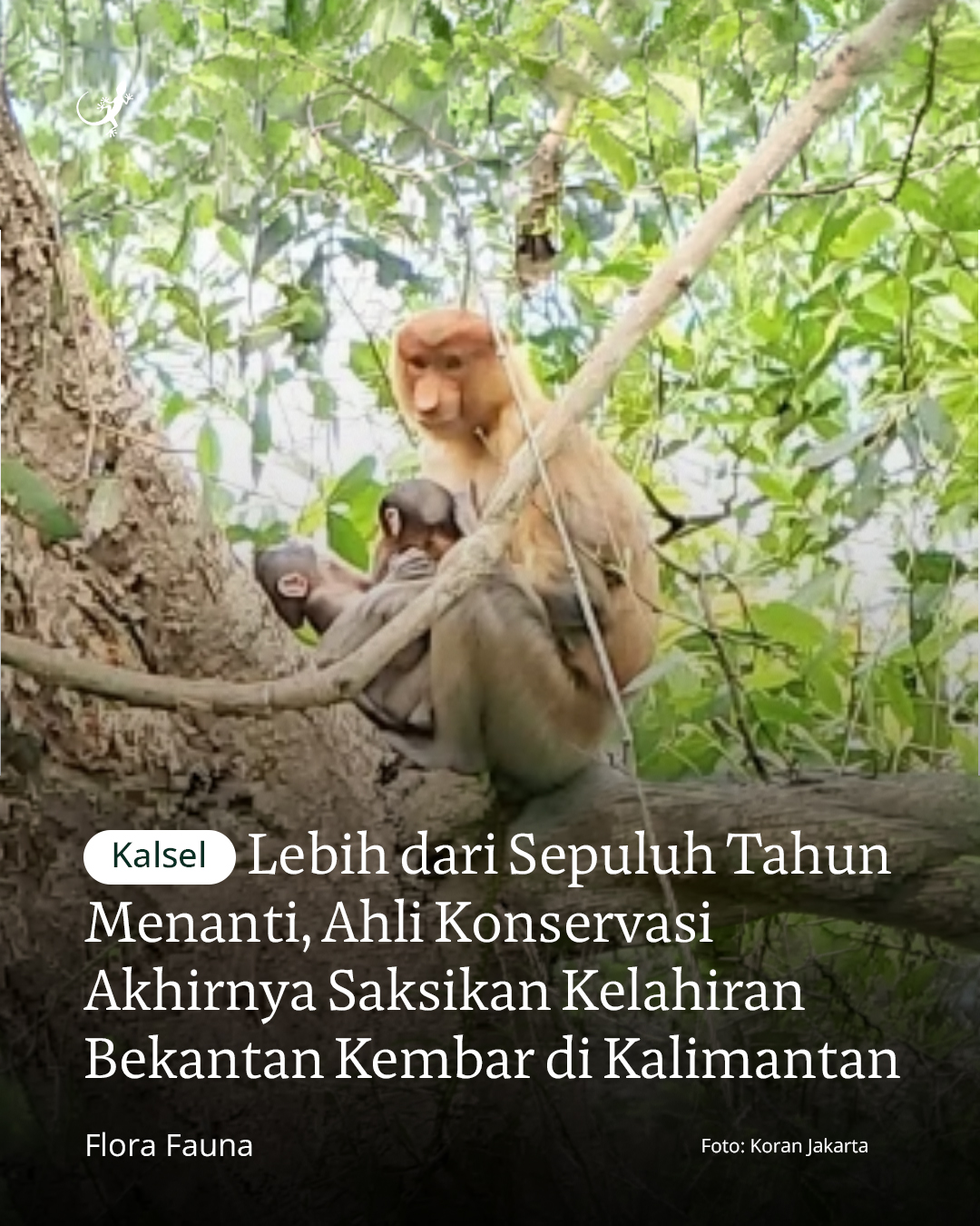 @mongabayindonesia