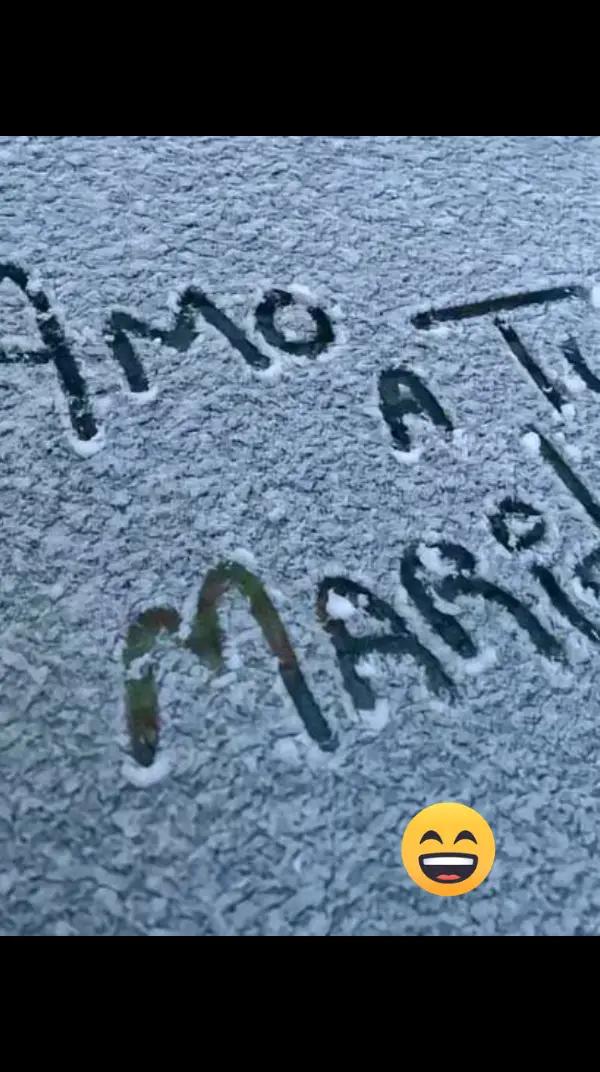 @stefi