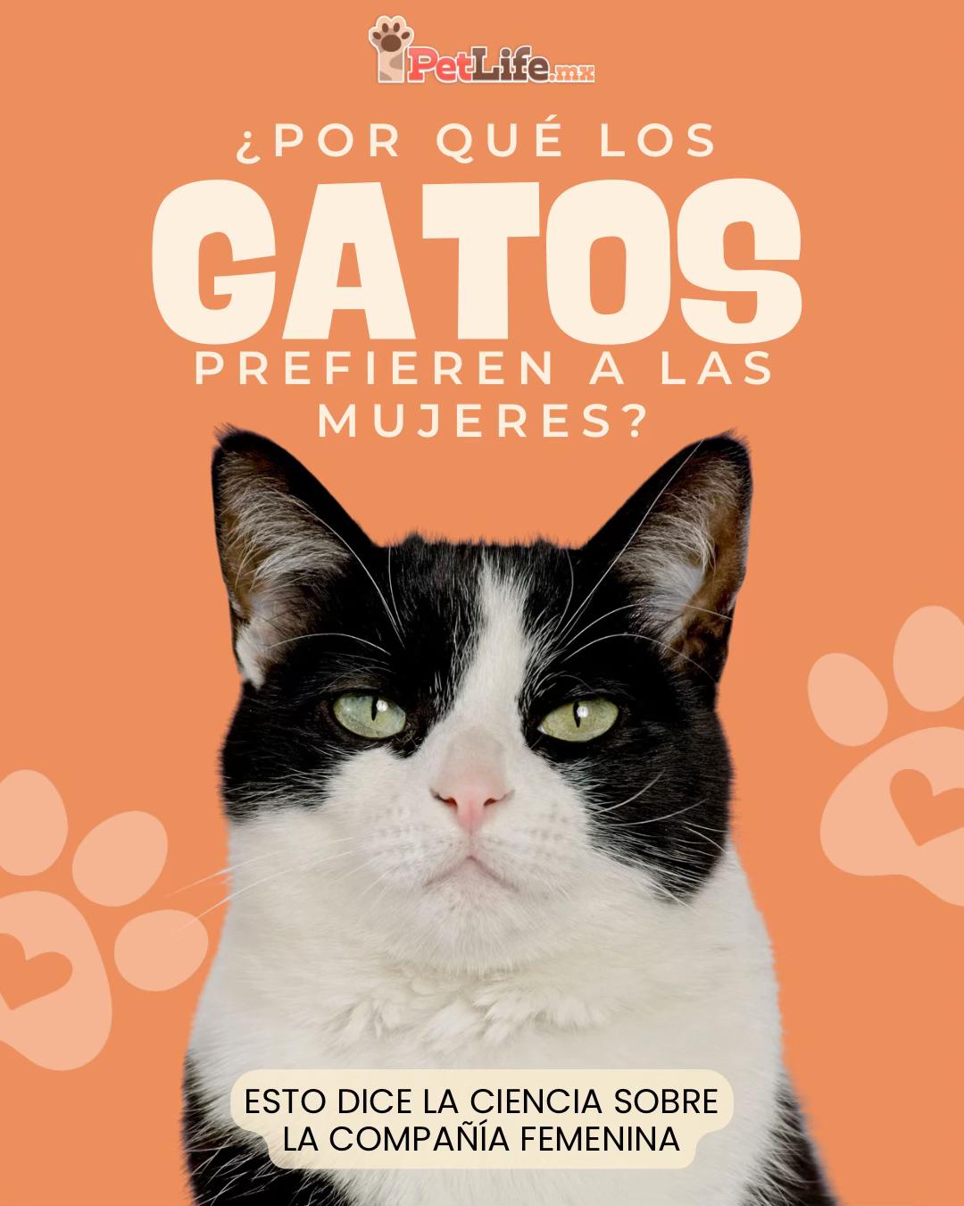 @Petlife