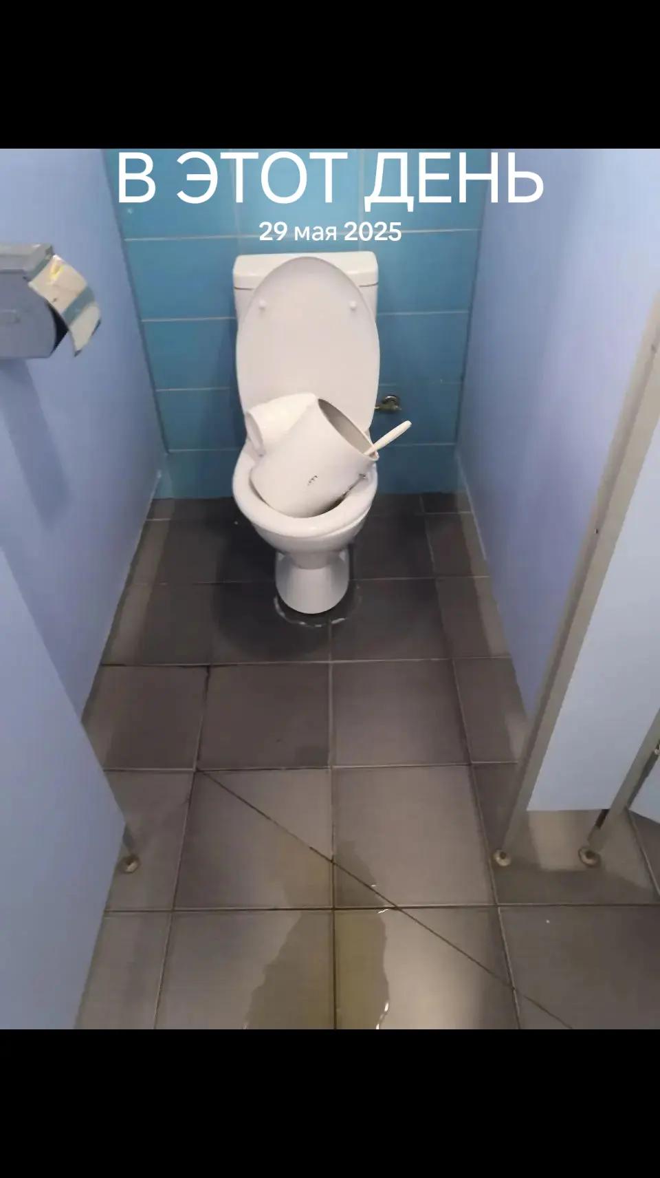 @hzwhopusat