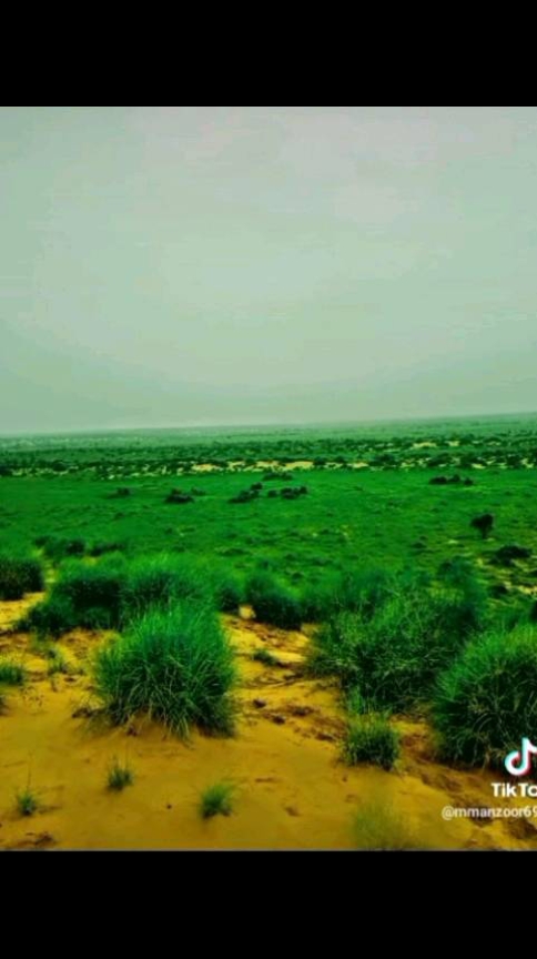@Malik Asif Phull0