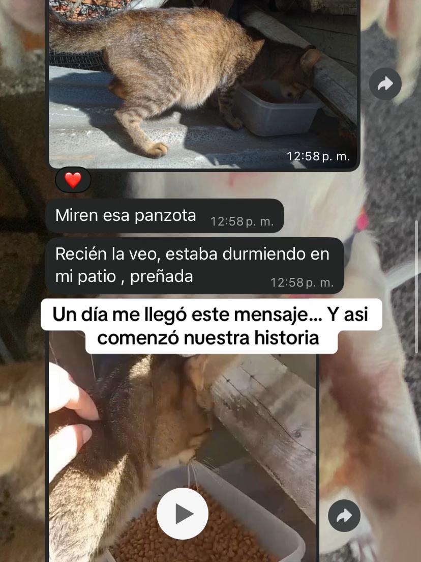 @Ayudanos a Ayudar