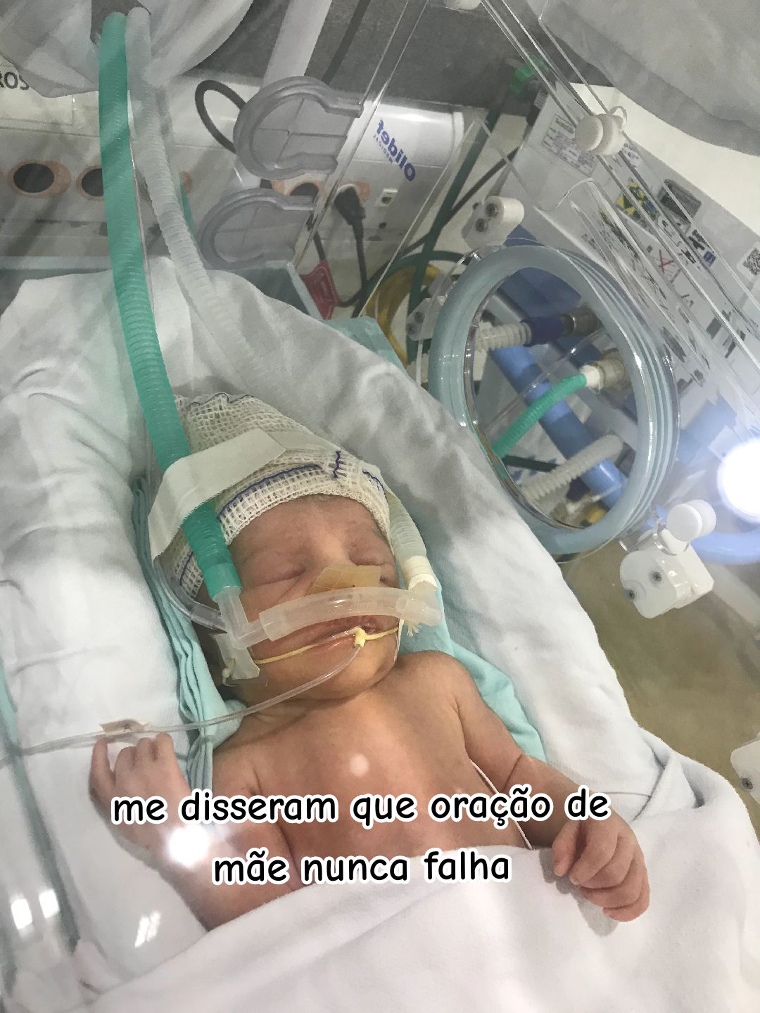 @Anna Paullena