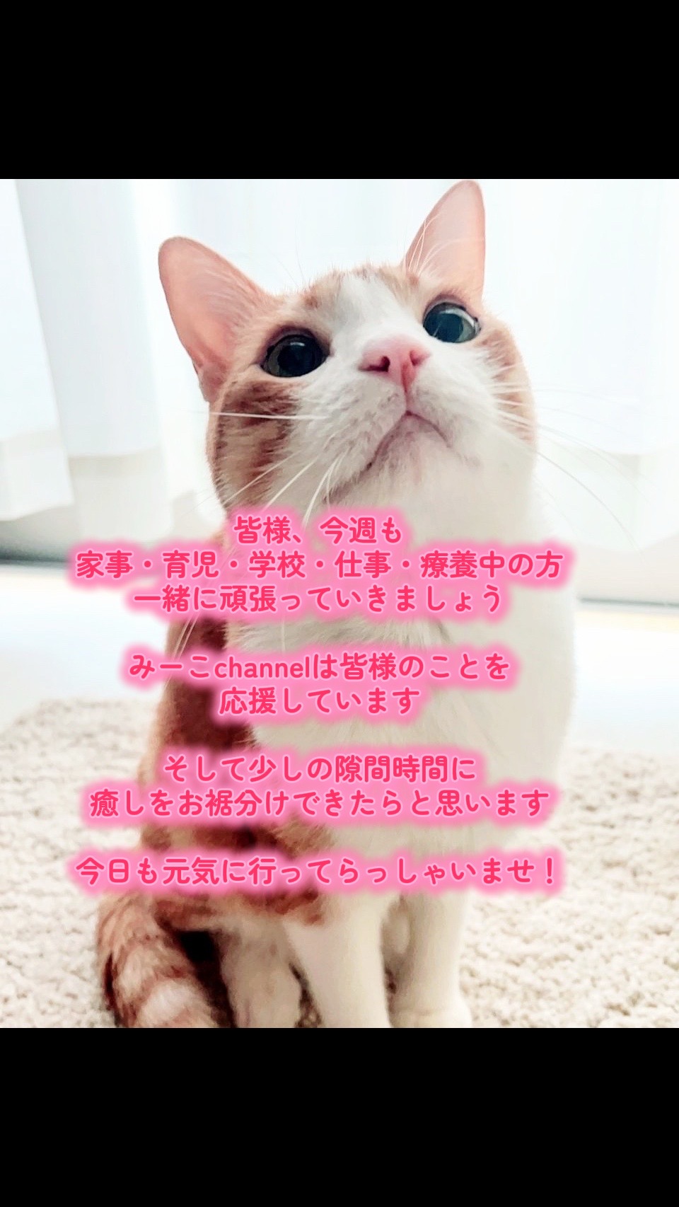 @みーこchannel