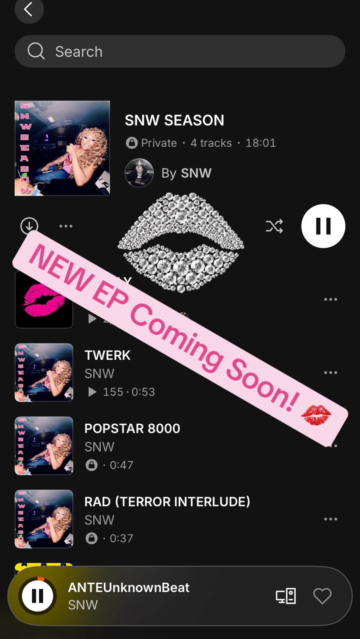 @SNW ❤️🔥🎱⛓