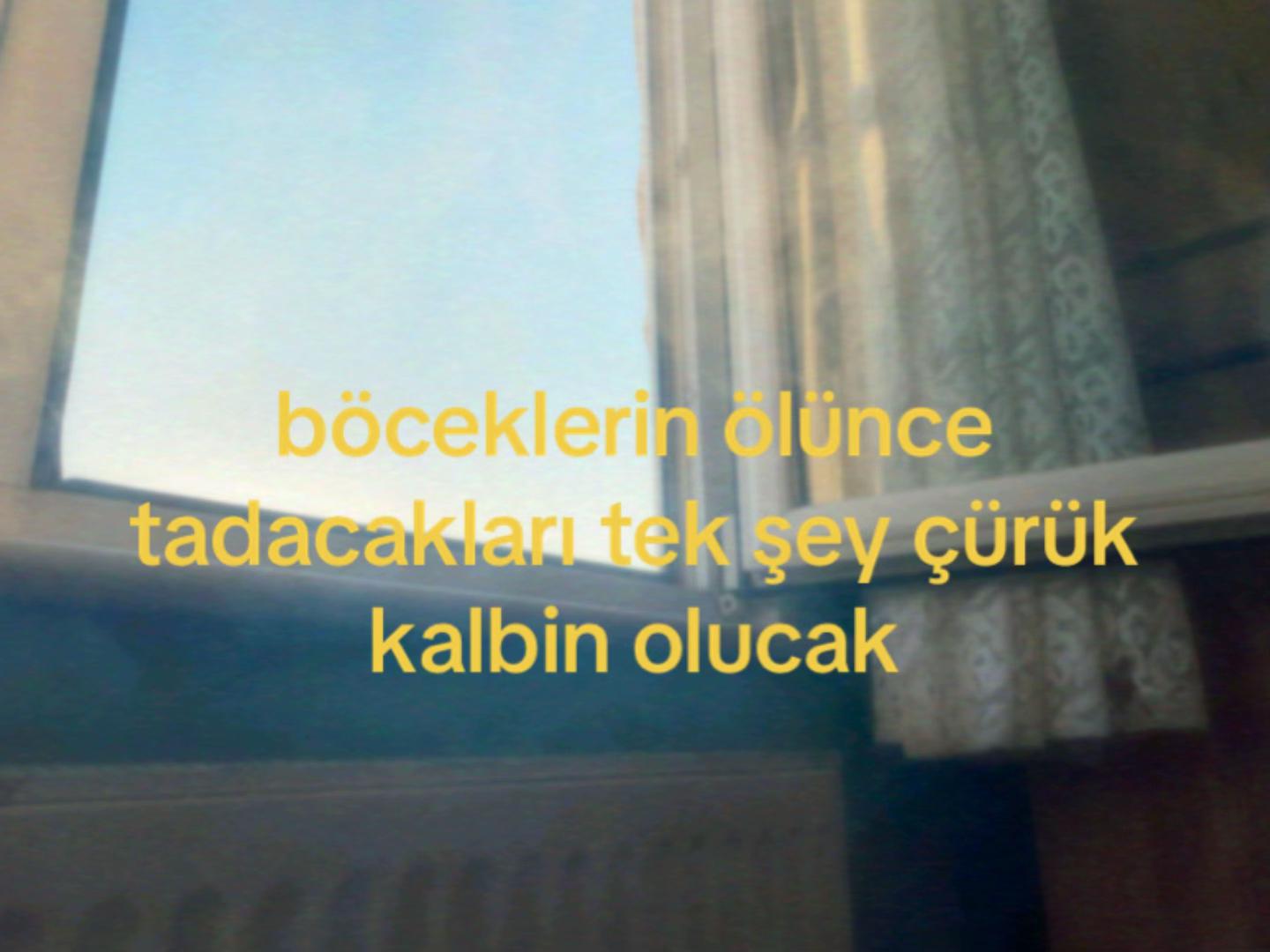 @yr.angel