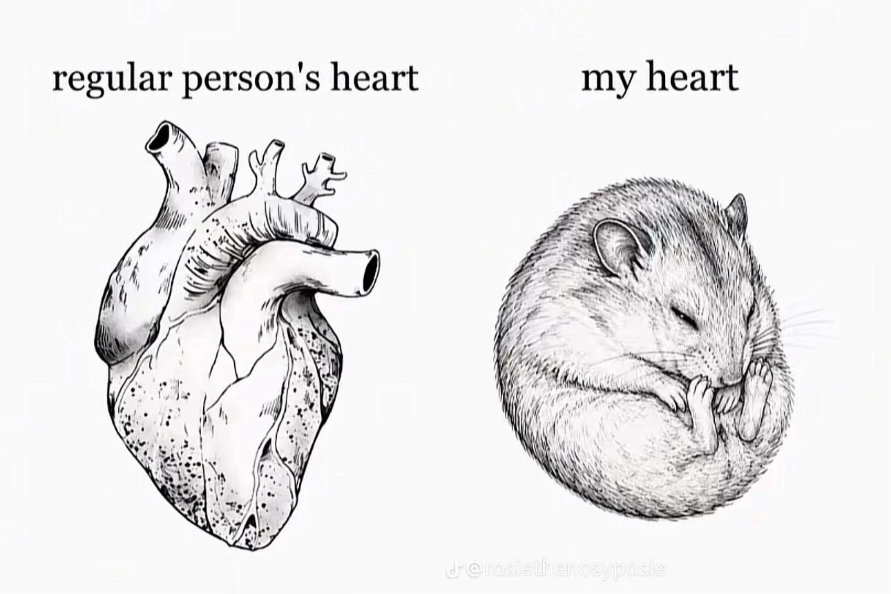 @ℳ𝒾𝒶🩵