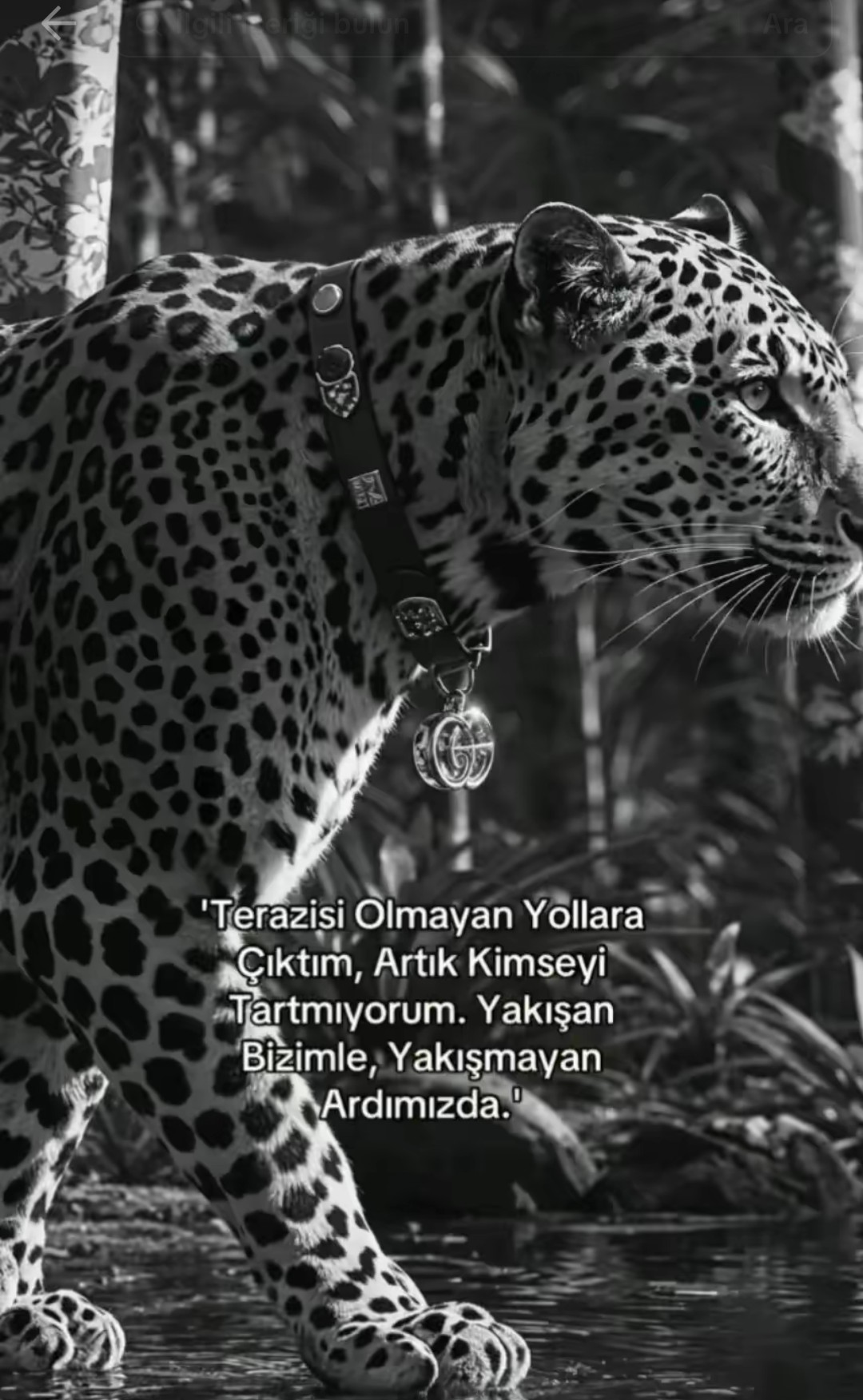 @&ouml;zg&uuml;r Yıldız