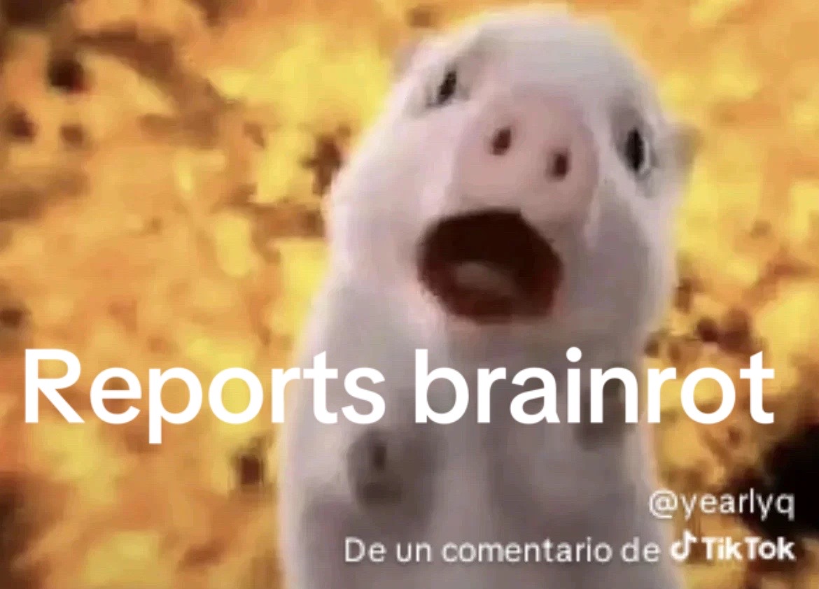 @Makeraoffcialmonkey🐒