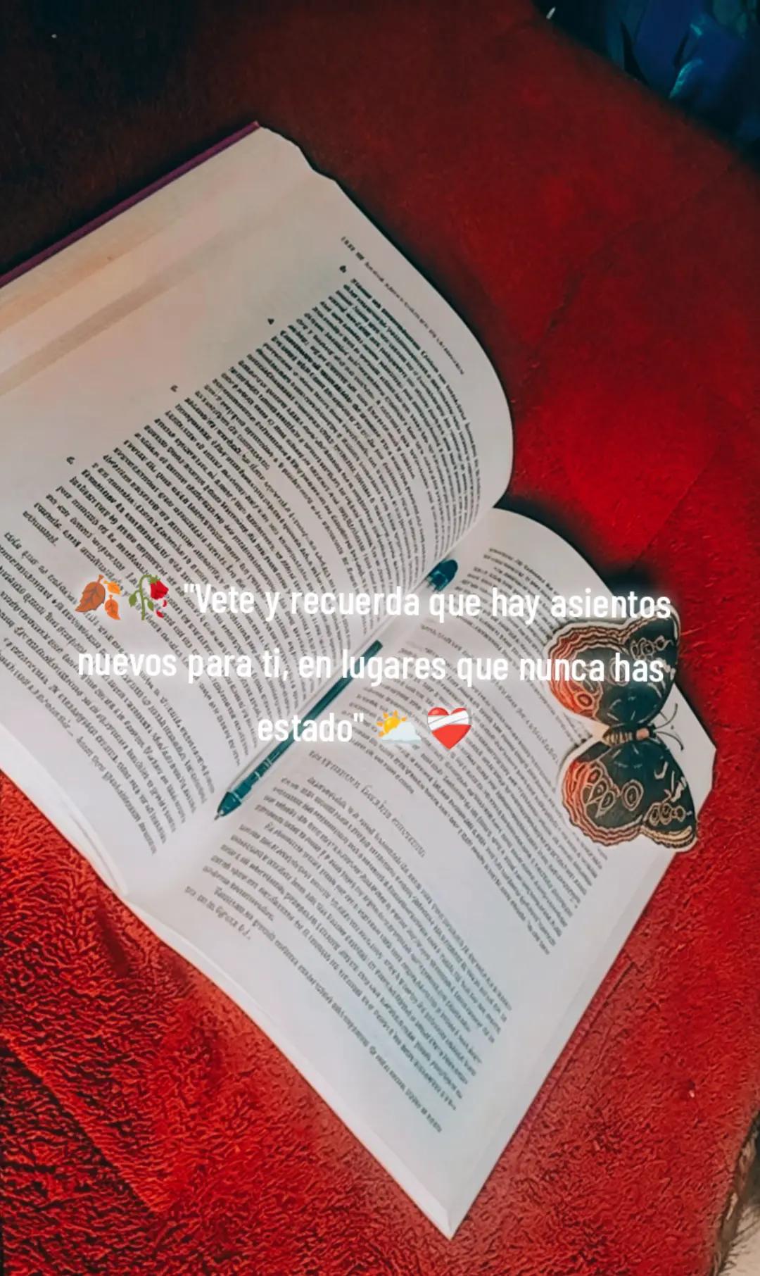 @Kim Velez