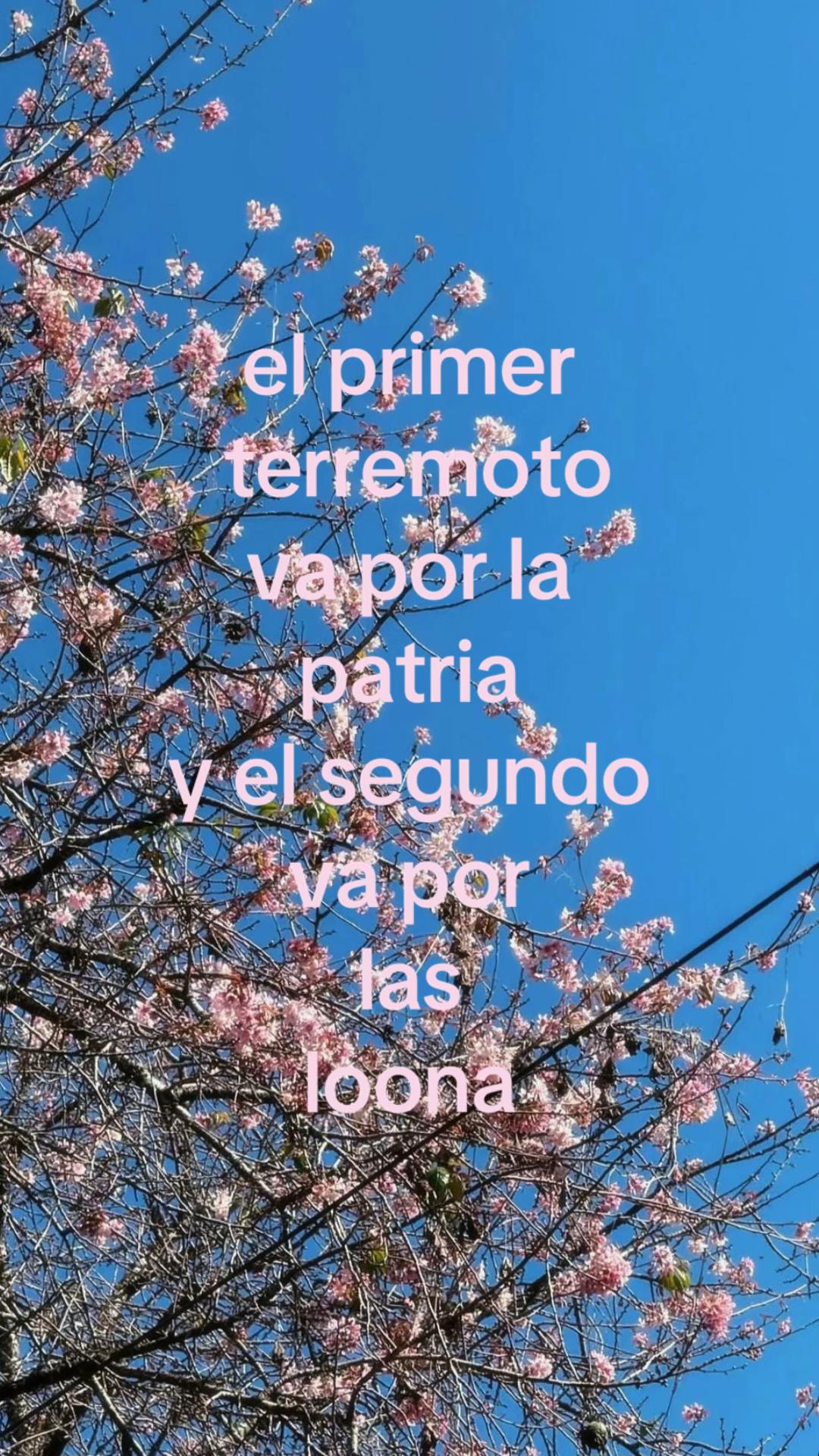 @🫧