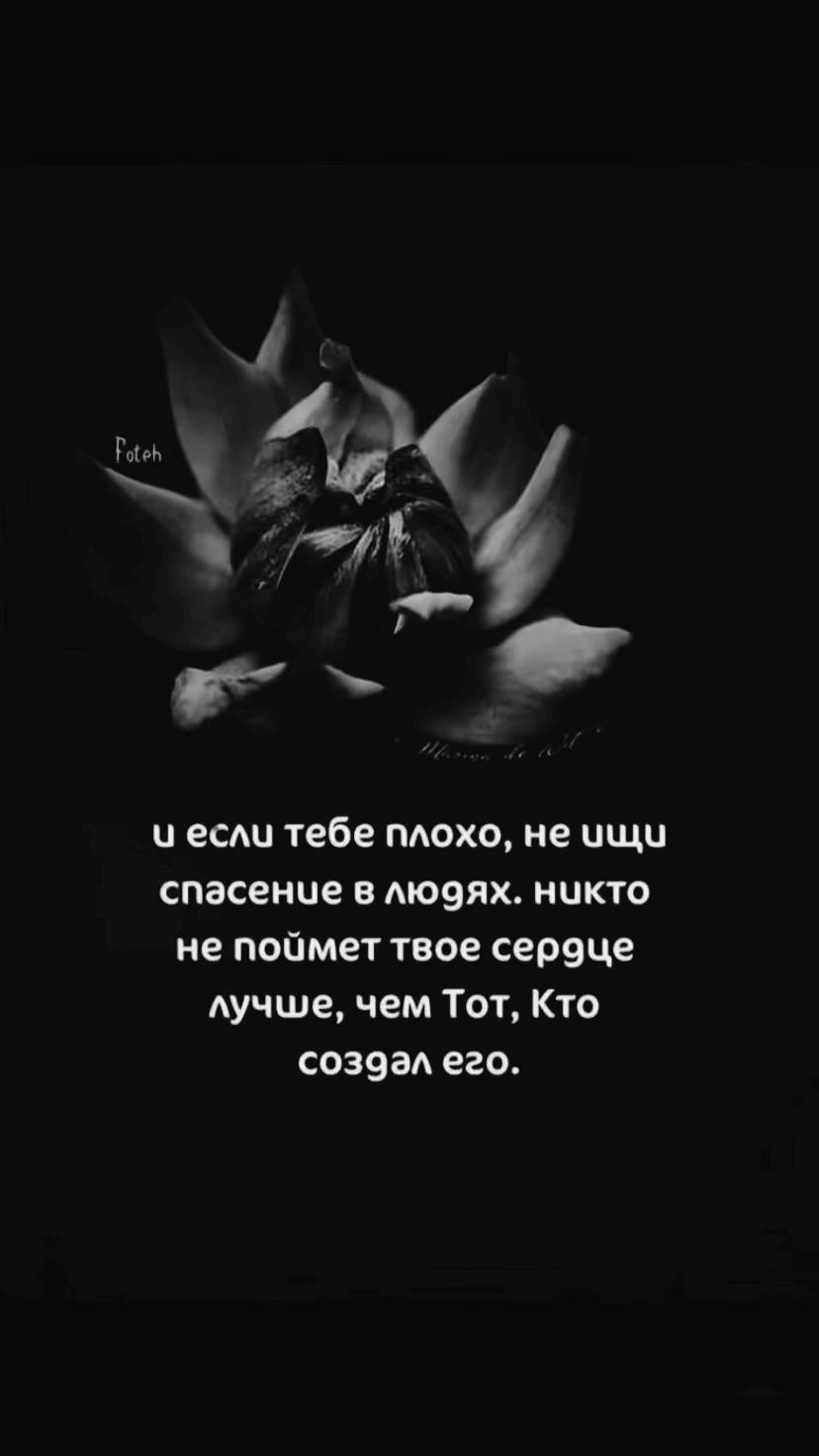 @𝓢𝓮𝓿