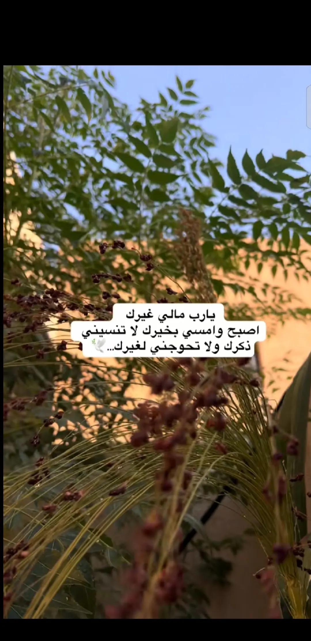 @💞⧣̶⃪⃪دفى ال⿻قلب ོ🪐💞