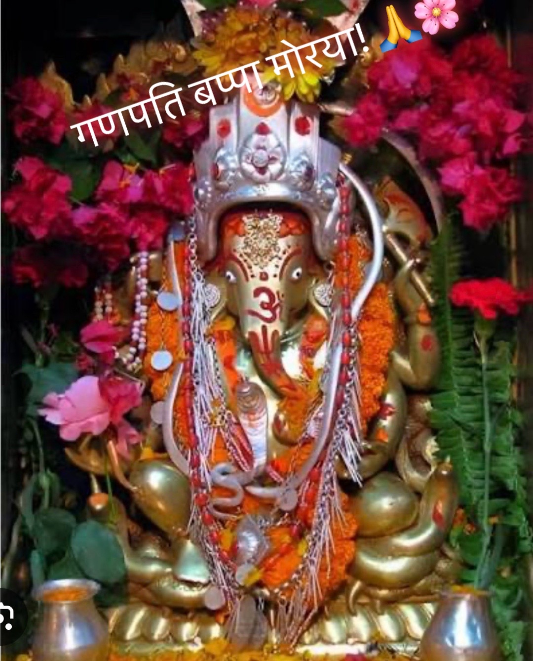 @Bimala Tripathi