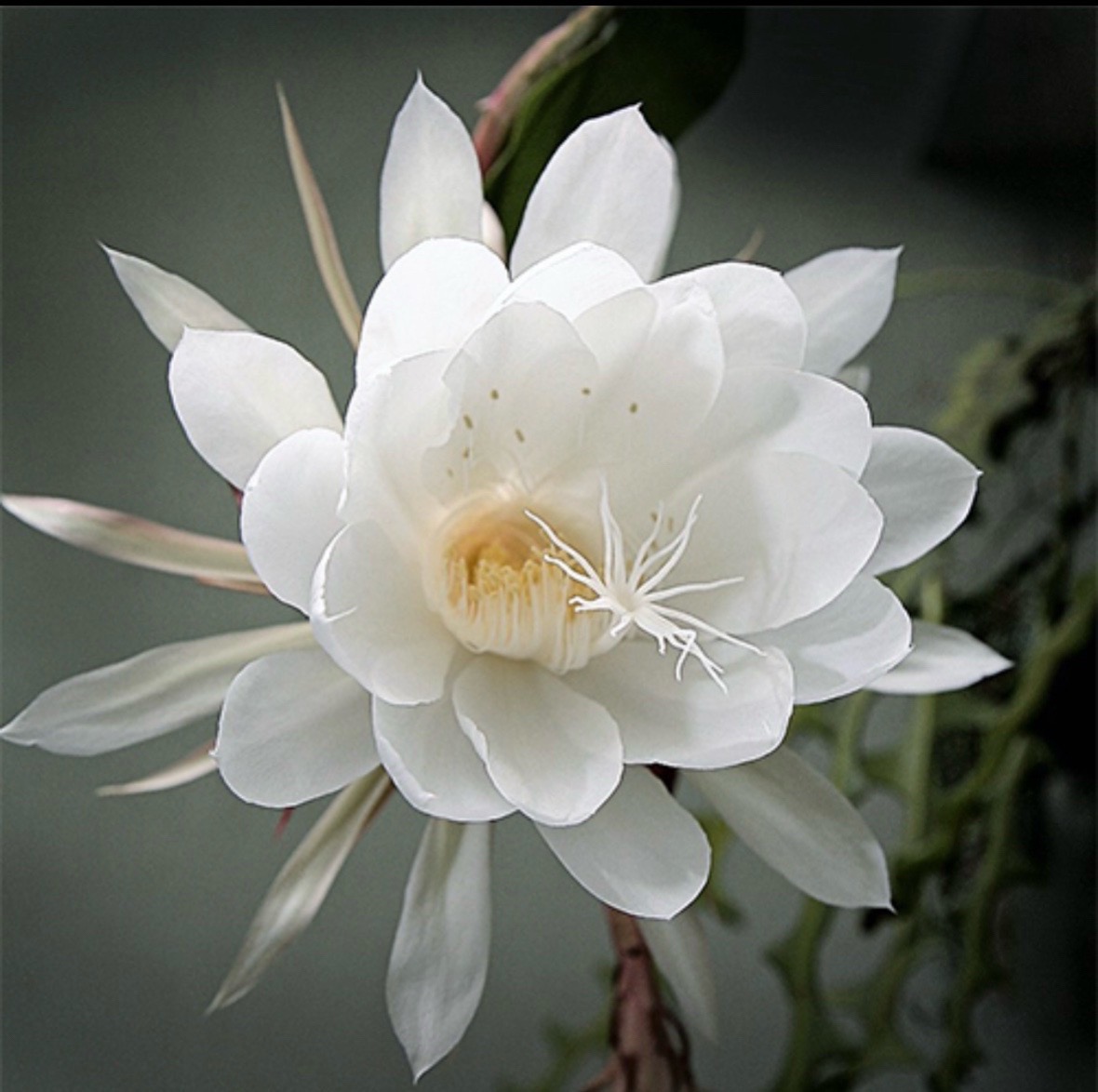 @Yoga Om(Mind, Body and Spirit)